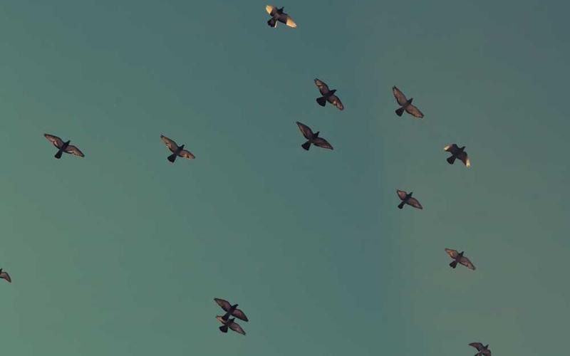 親子同遊專案：小小探險家